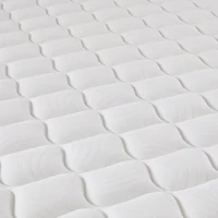 Matelas Serta® Perfect Sleeper® Elite Becalm