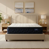 Matelas Serta Perfect Sleeper Dynamic