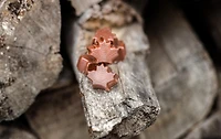 Chocolats crème à l'érable 81 g - Boîte métallique [86901]