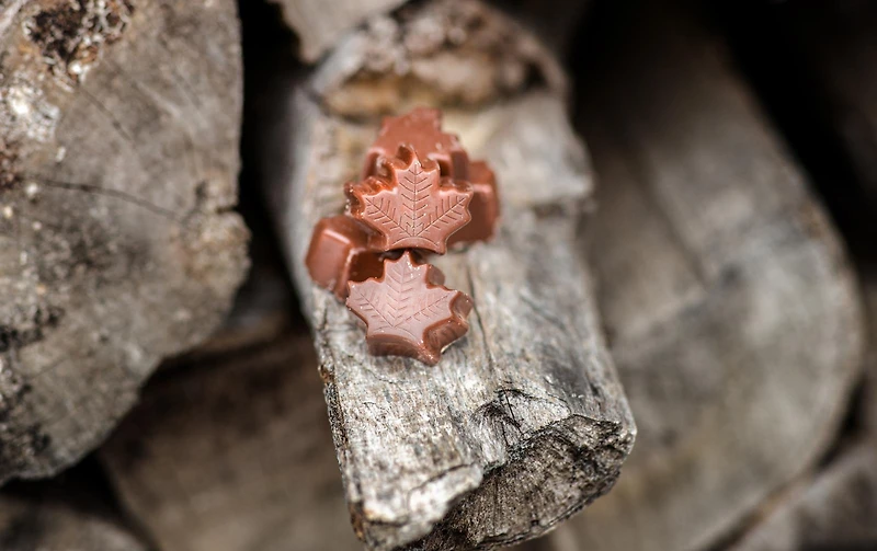 Chocolats crème à l'érable 81 g - Boîte métallique [86901]