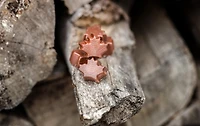 Chocolats crème à l'érable 81 g - Boîte métallique [86901]