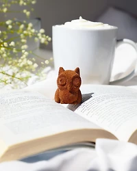 Mélanges à chocolat chaud 3D - Caramel [87049]
