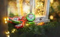 Sachet de pastilles croustillantes des Fêtes 210 g [86656]