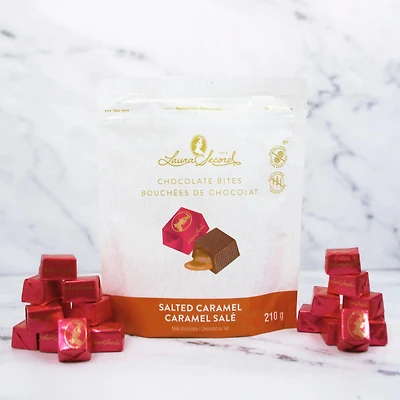 Sachet de bouchées chocolat au lait et caramel salé 210 g [87066]