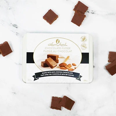 Chocolate Fudge [92094]