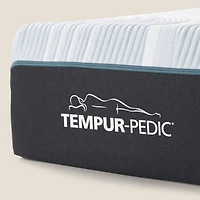 TEMPUR ProAdapt® Orange  Mattress