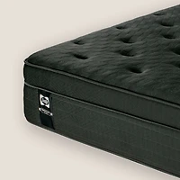 Sealy Posturepedic® Plus DBS™ 2 Mattress