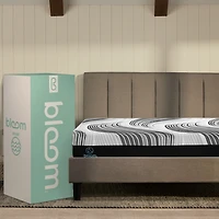 Bloom Luna Mattress