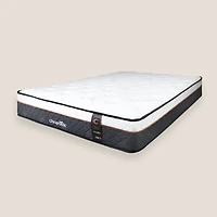 Chiropractic C3 Hybrid LP Mattress