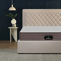 Beautyrest® MOD 1 Mattress