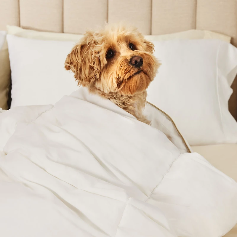 Fieldcrest® Luxury Microgel Duvet