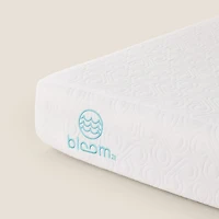 Bloom River Mattress