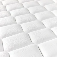 Kingsdown Duet Glenview Mattress