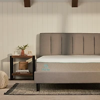 Bloom Air Mattress