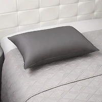 Graphene Pillow