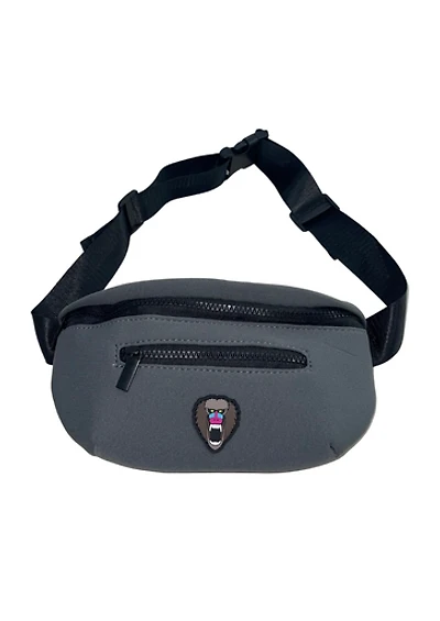 M.CHUCK FANNY PACK CHAR212855