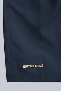 Deep Dive Mens Boardshorts