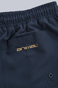 Deep Dive Mens Boardshorts