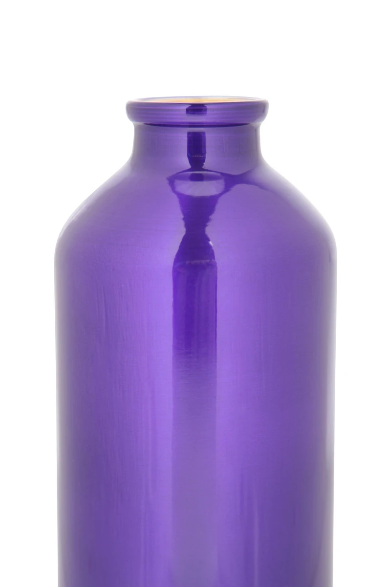 17 oz Metallic Finish Bottle with Karabiner