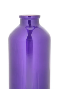 17 oz Metallic Finish Bottle with Karabiner
