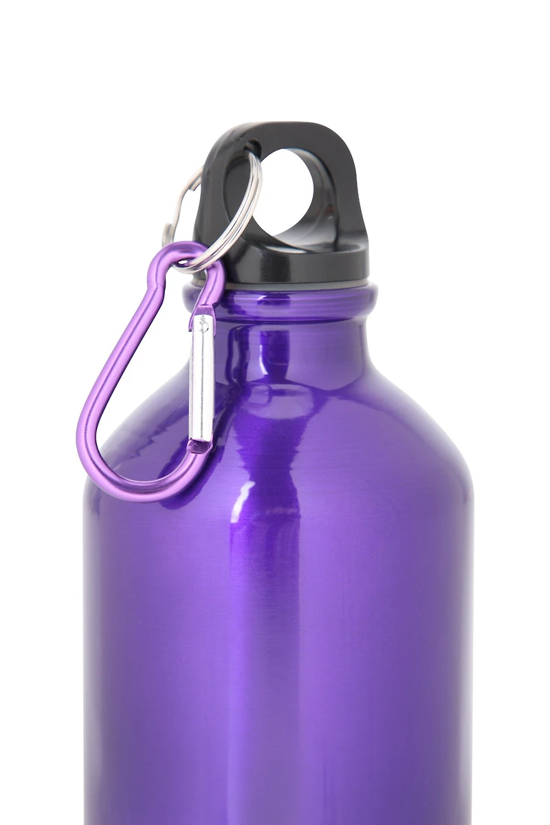17 oz Metallic Finish Bottle with Karabiner