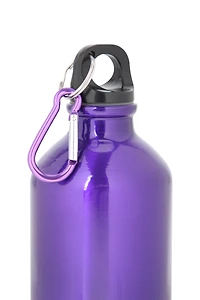 17 oz Metallic Finish Bottle with Karabiner