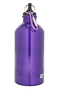 17 oz Metallic Finish Bottle with Karabiner