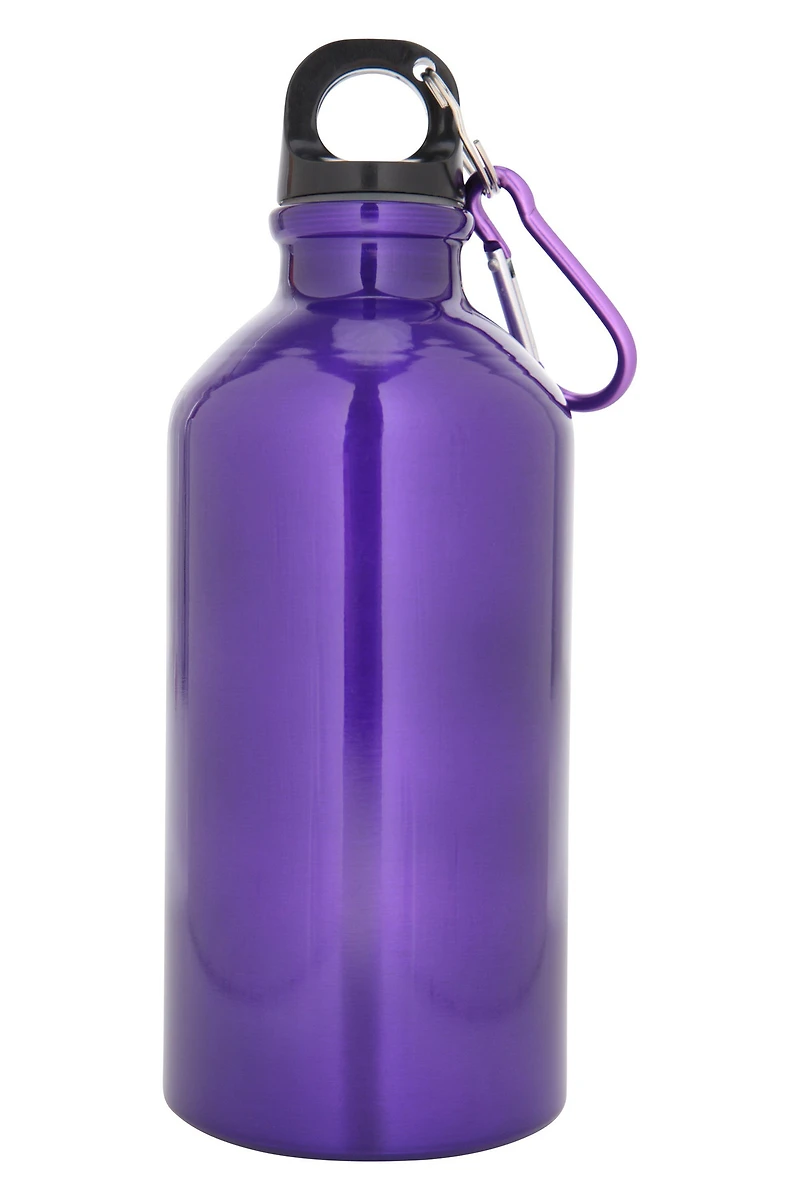17 oz Metallic Finish Bottle with Karabiner
