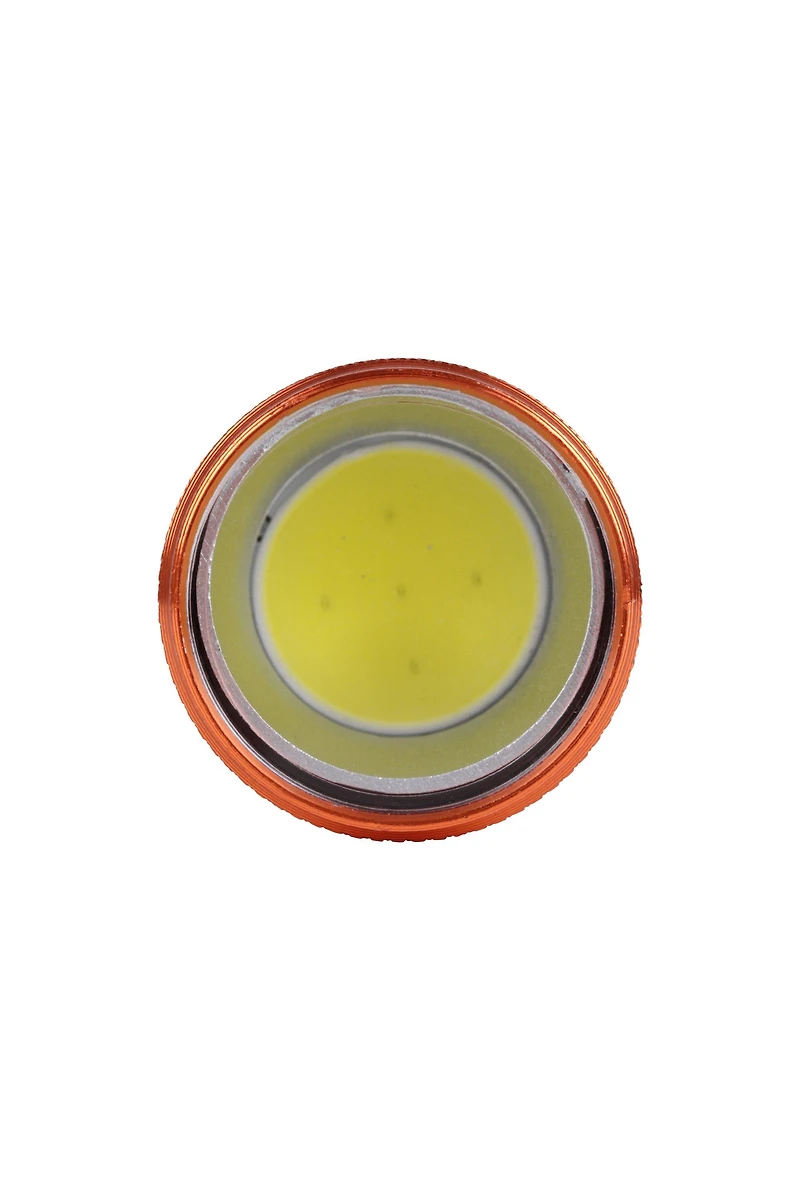 Fun 9 LED Flashlight