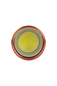 Fun 9 LED Flashlight