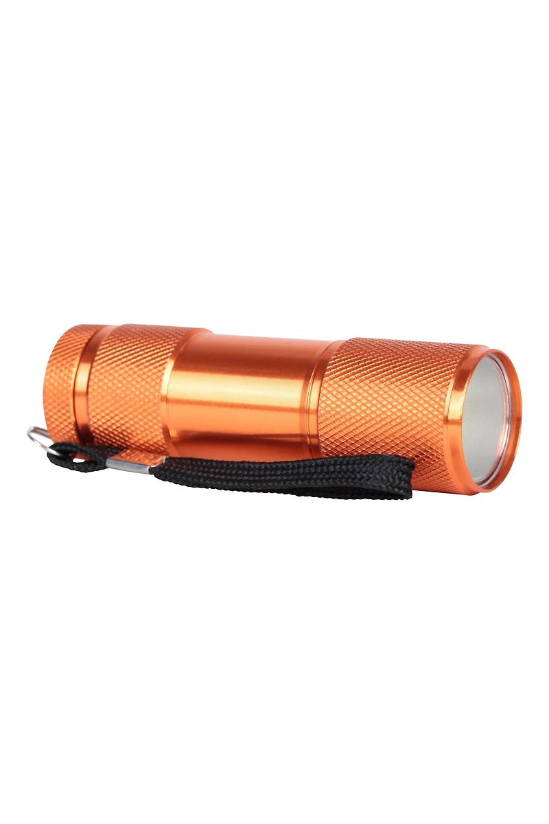 Fun 9 LED Flashlight