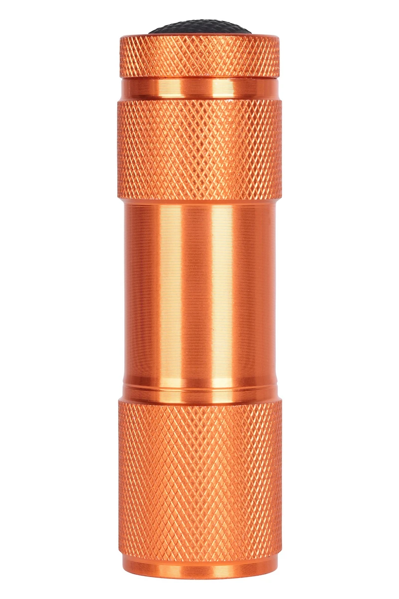 Fun 9 LED Flashlight