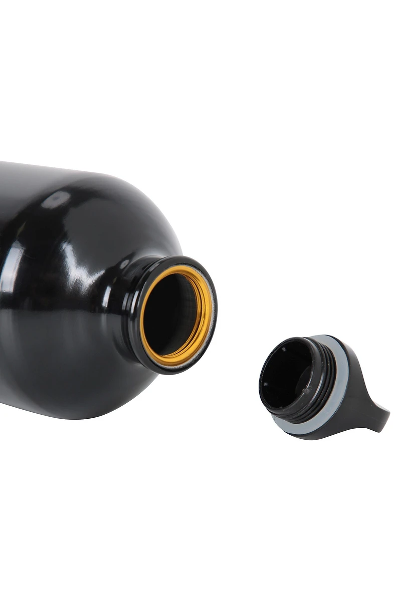 31 oz. Metallic Bottle With Karabiner
