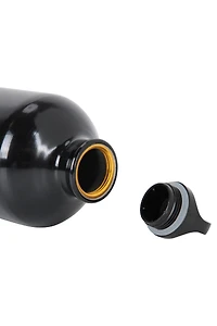 31 oz. Metallic Bottle With Karabiner
