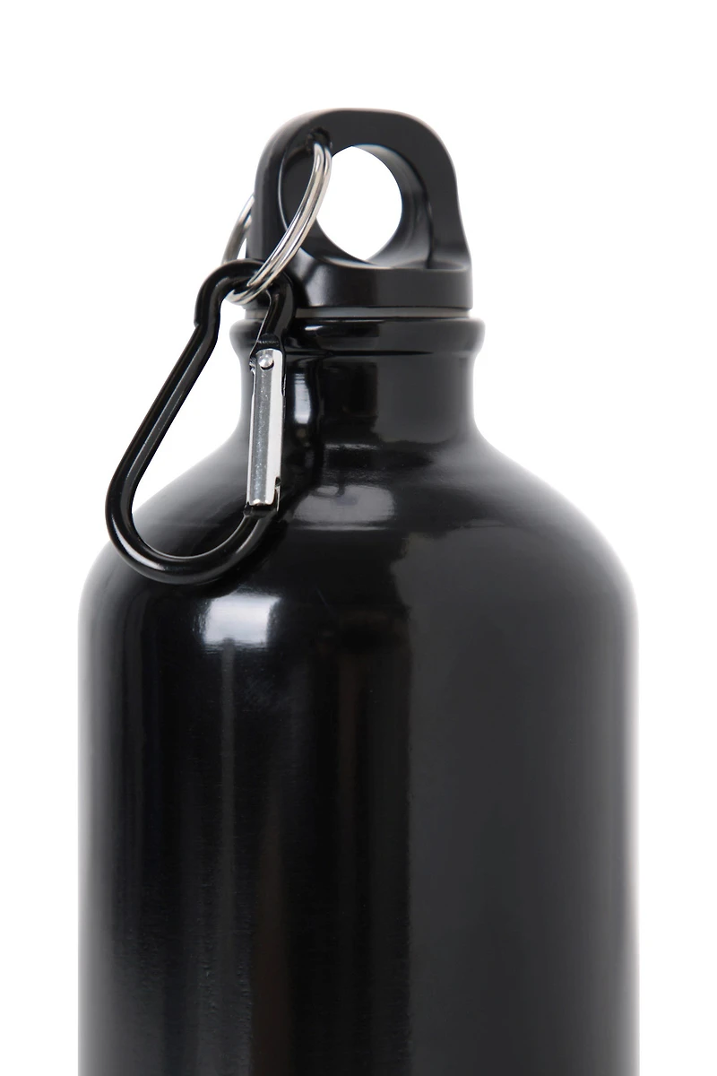 31 oz. Metallic Bottle With Karabiner