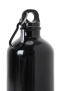 31 oz. Metallic Bottle With Karabiner