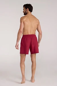 Aruba Mens Swim Shorts