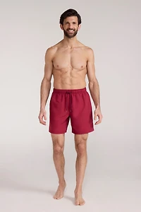 Aruba Mens Swim Shorts