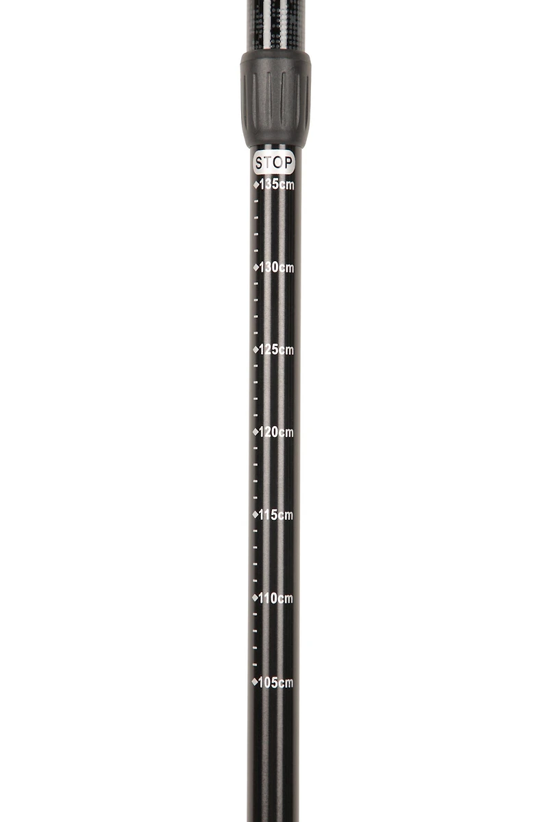Hiker Hiking Pole