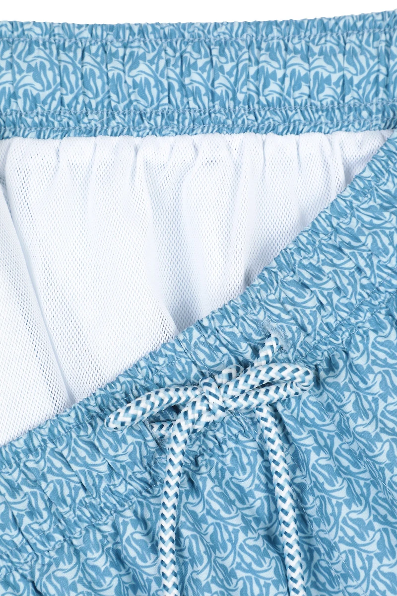 Aruba Printed Mens Swim Shorts