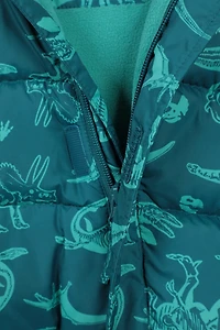 Frosty Printed Toddler Insulated Suit