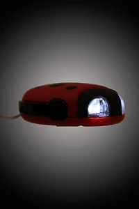 Ladybird Dynamo Flashlight