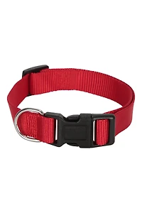 Pet Collar