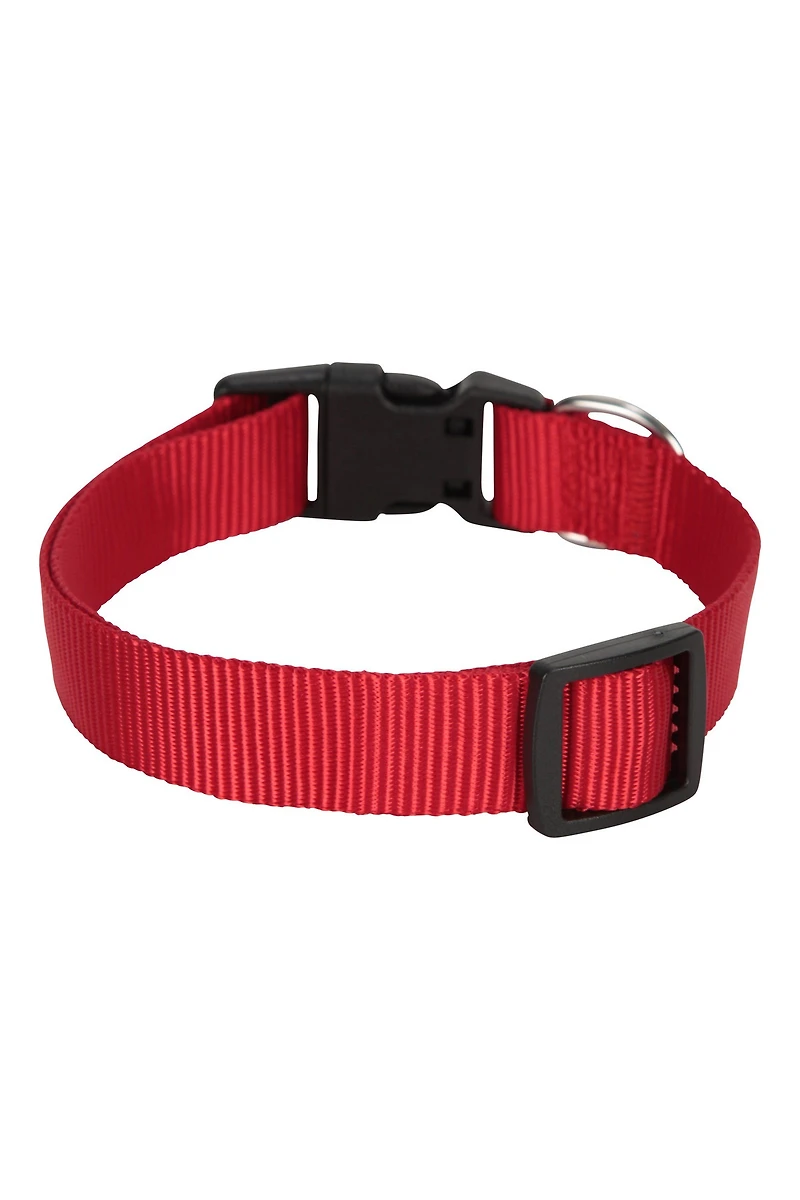 Pet Collar