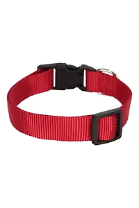 Pet Collar