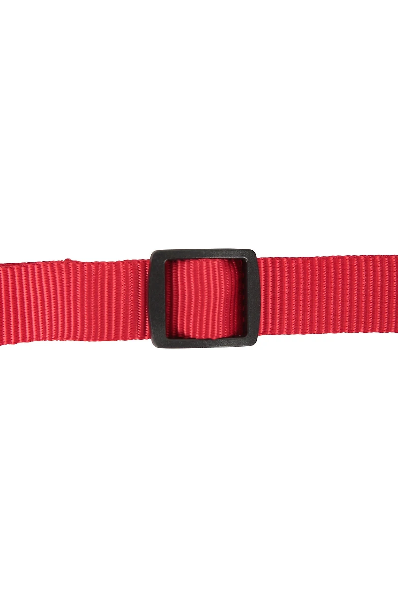 Pet Collar