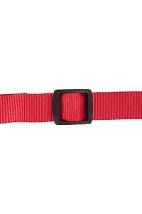Pet Collar