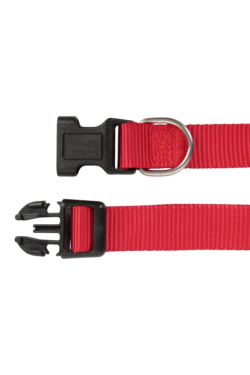 Pet Collar