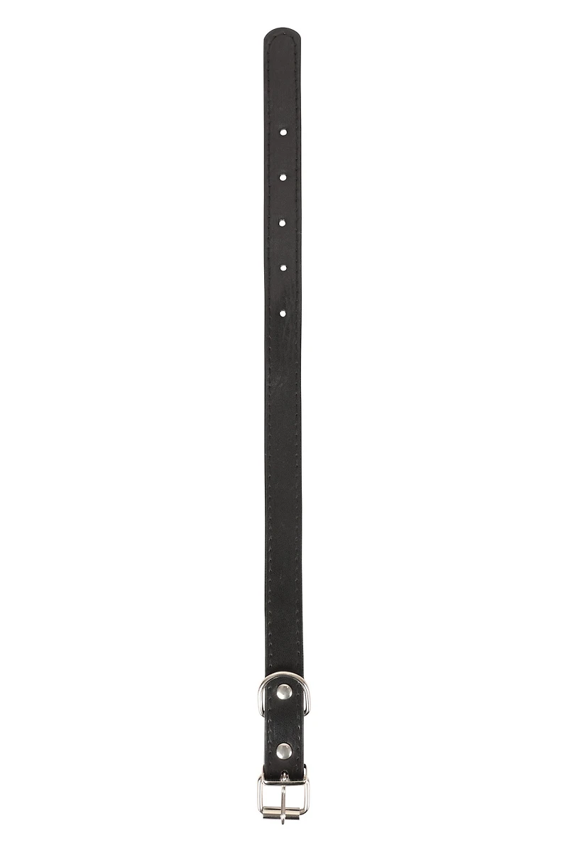 Leather Look Collar