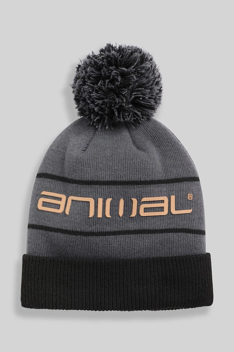 Dylan Ski Pom Beanie